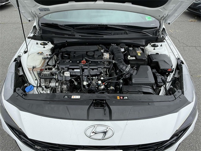2023 Hyundai Elantra N Line photo 12