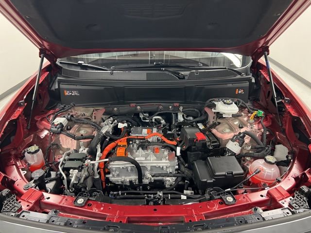 View 25