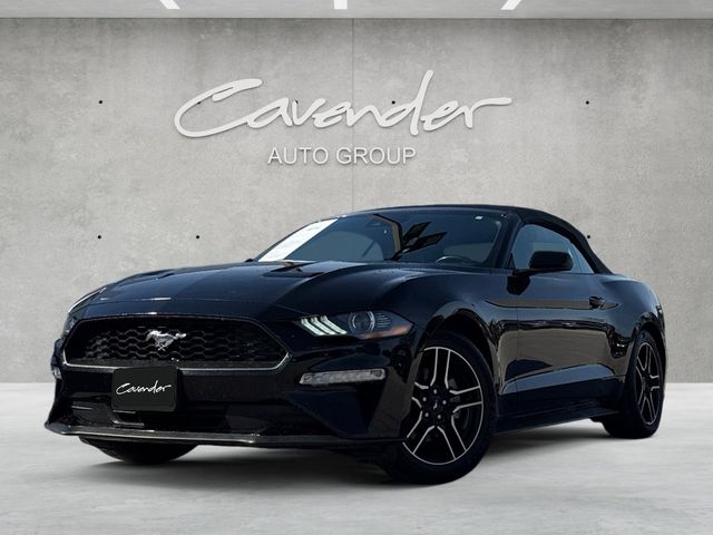 2023 Ford Mustang EcoBoost Premium's photo
