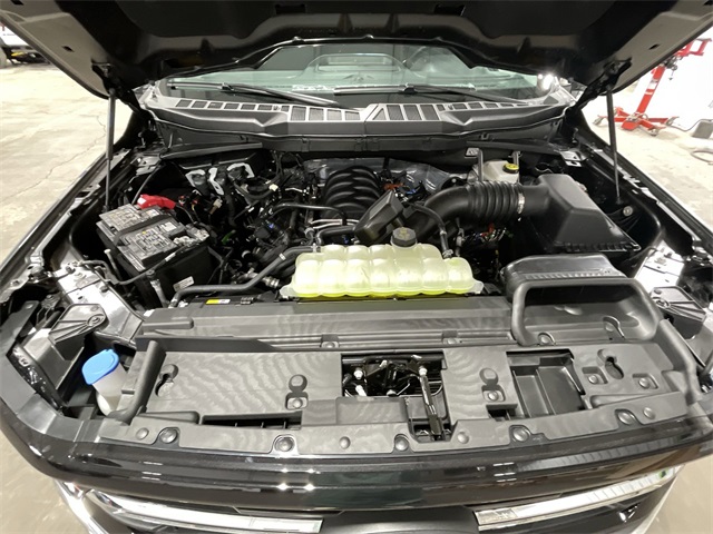 2025 Ford F-150 XLT photo 20