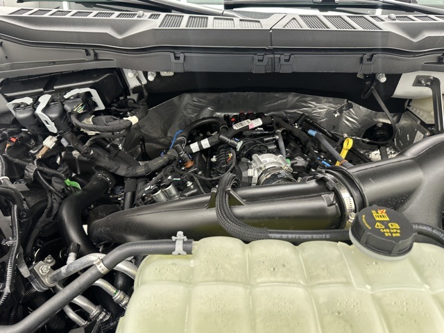 2025 Ford F-150 XLT photo 38