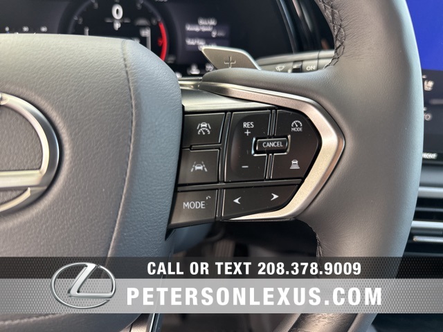 2025 Lexus RX 350 Premium photo 24