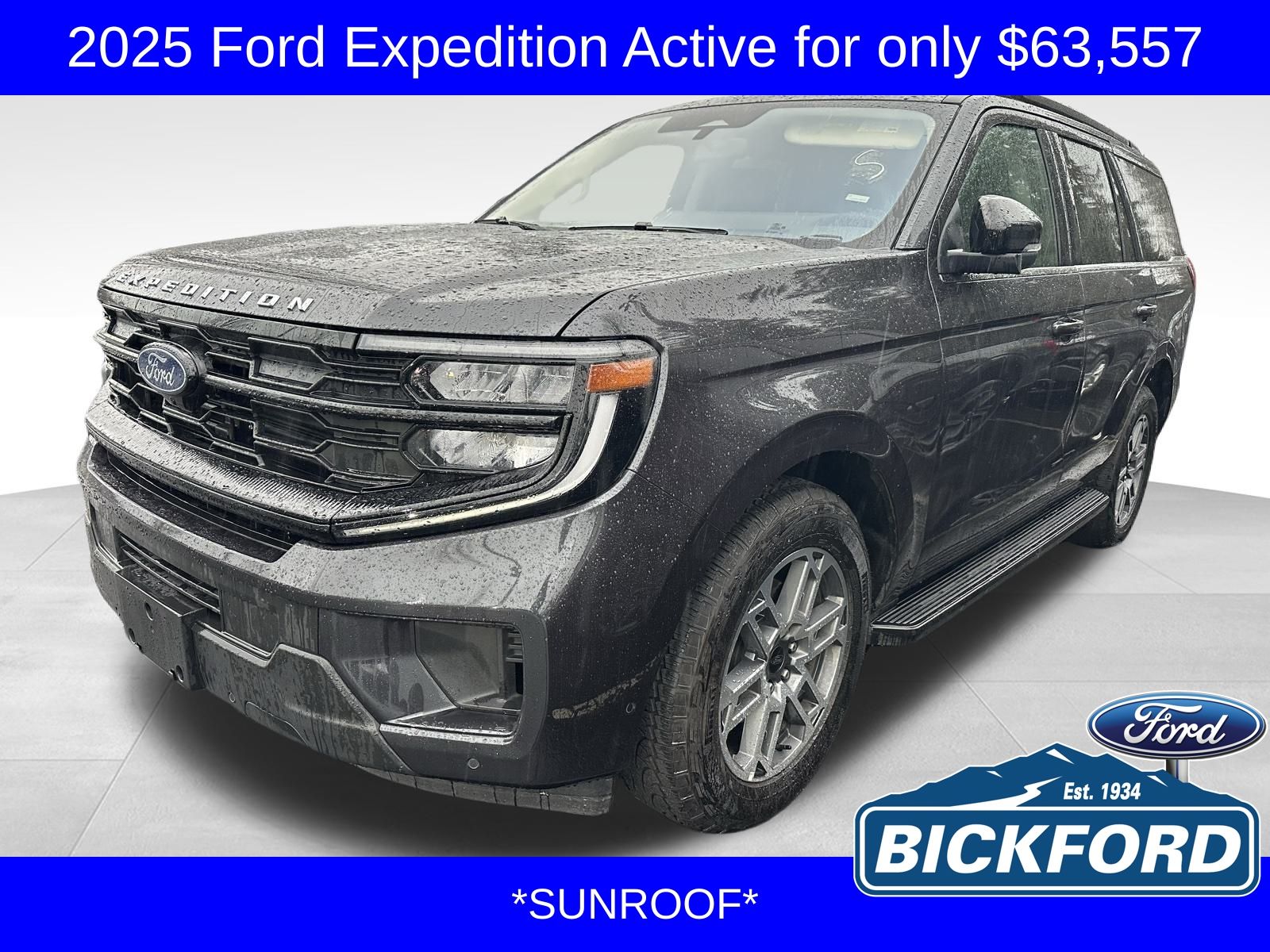 2025 Ford Expedition Active's photo