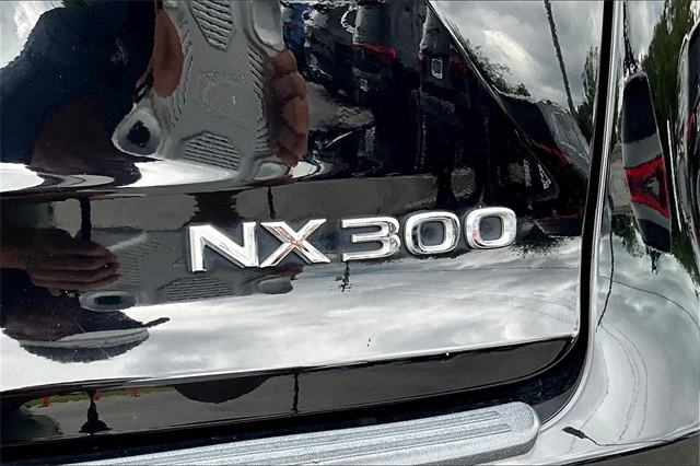 2021 Lexus NX 300 F SPORT photo 22