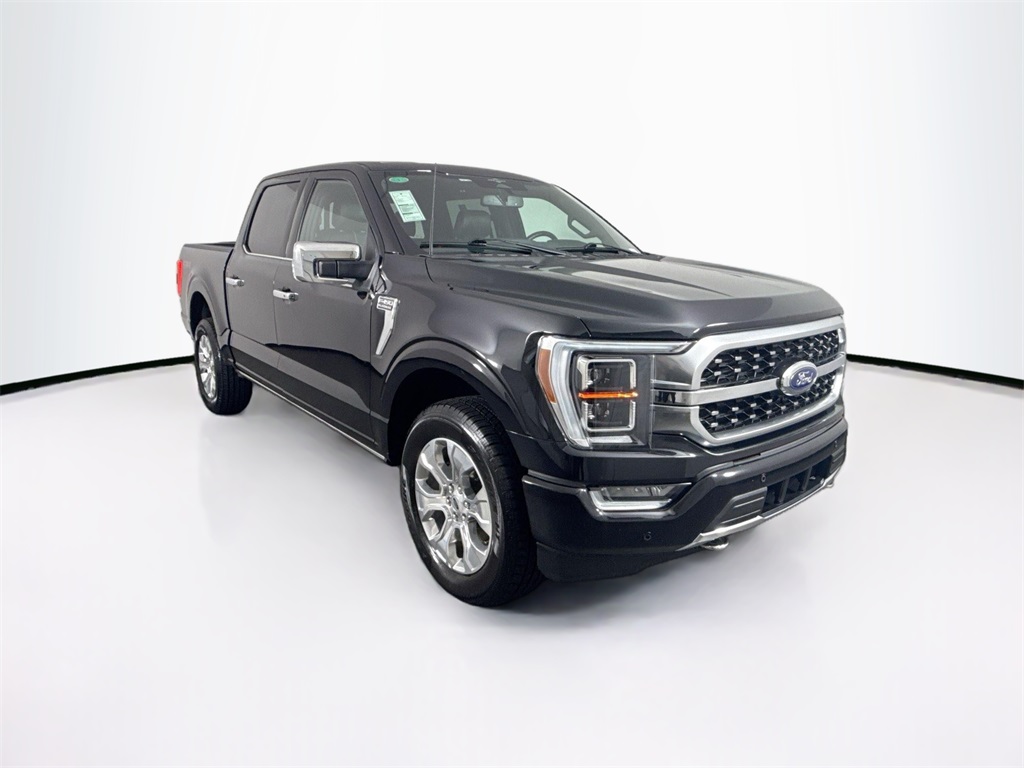 2023 Ford F-150 Platinum photo 3