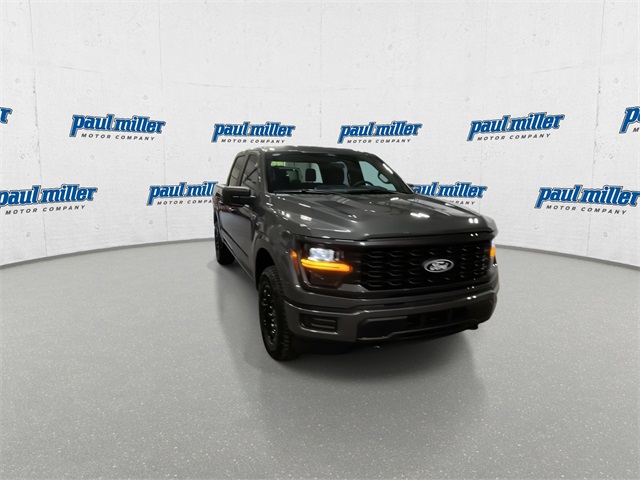 2025 Ford F-150 STX photo 3
