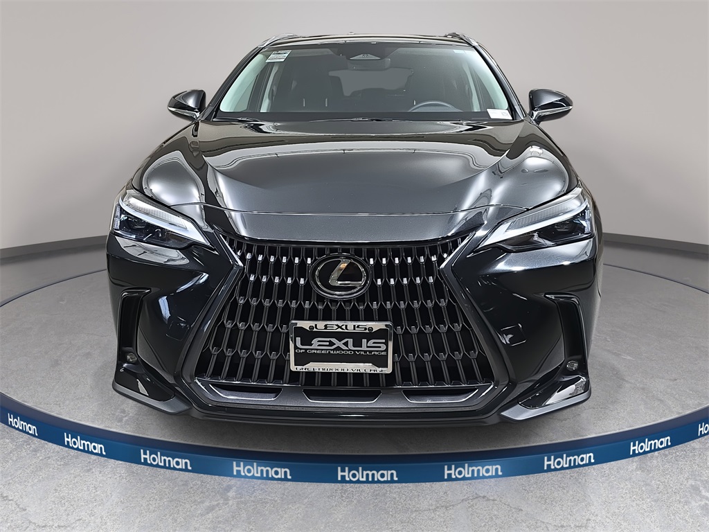 2024 Lexus NX 350h photo 2