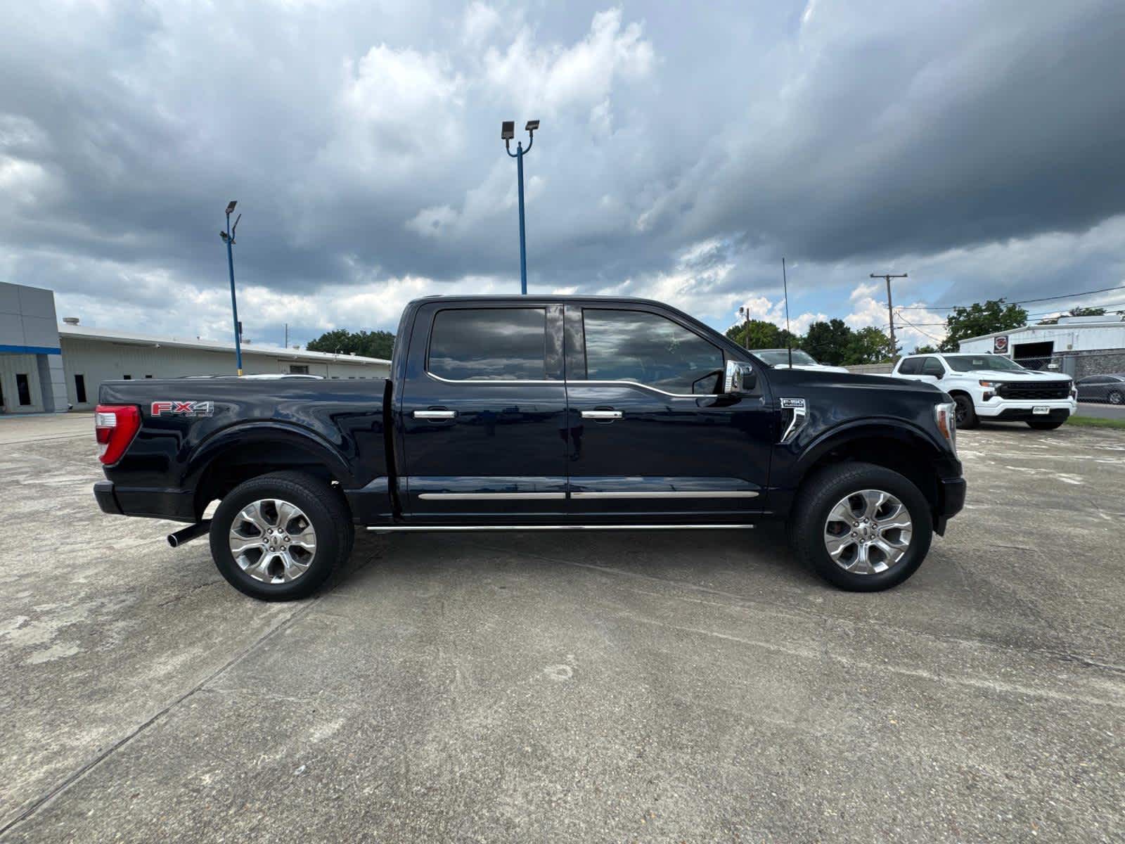 2021 Ford F-150 Platinum photo 8
