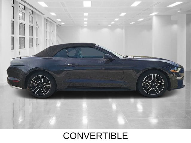 2022 Ford Mustang EcoBoost Premium photo 2