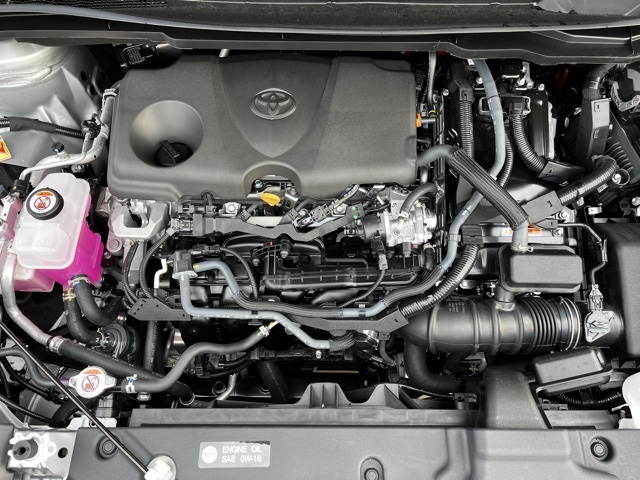 2025 Toyota Sienna XLE photo 25
