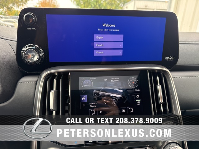 2025 Lexus LX Luxury photo 15