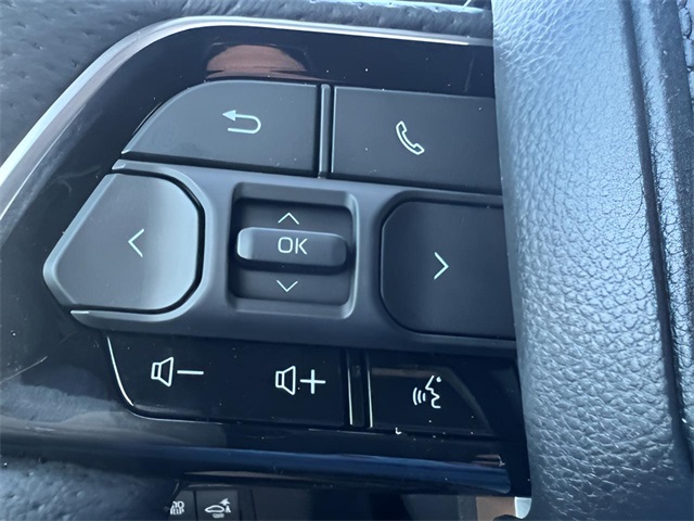 2025 Toyota Tundra 1794 Edition photo 17