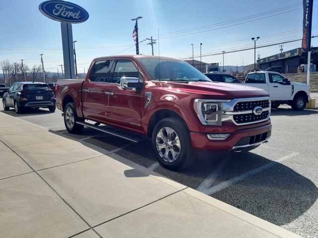 2021 Ford F-150 Platinum photo 2