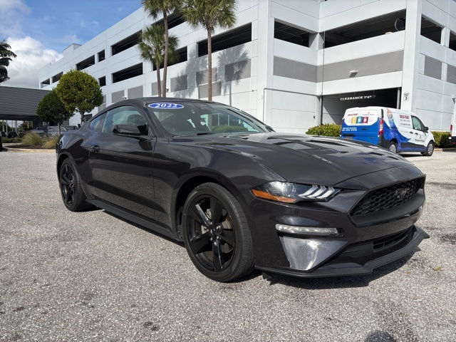 2022 Ford Mustang EcoBoost's photo