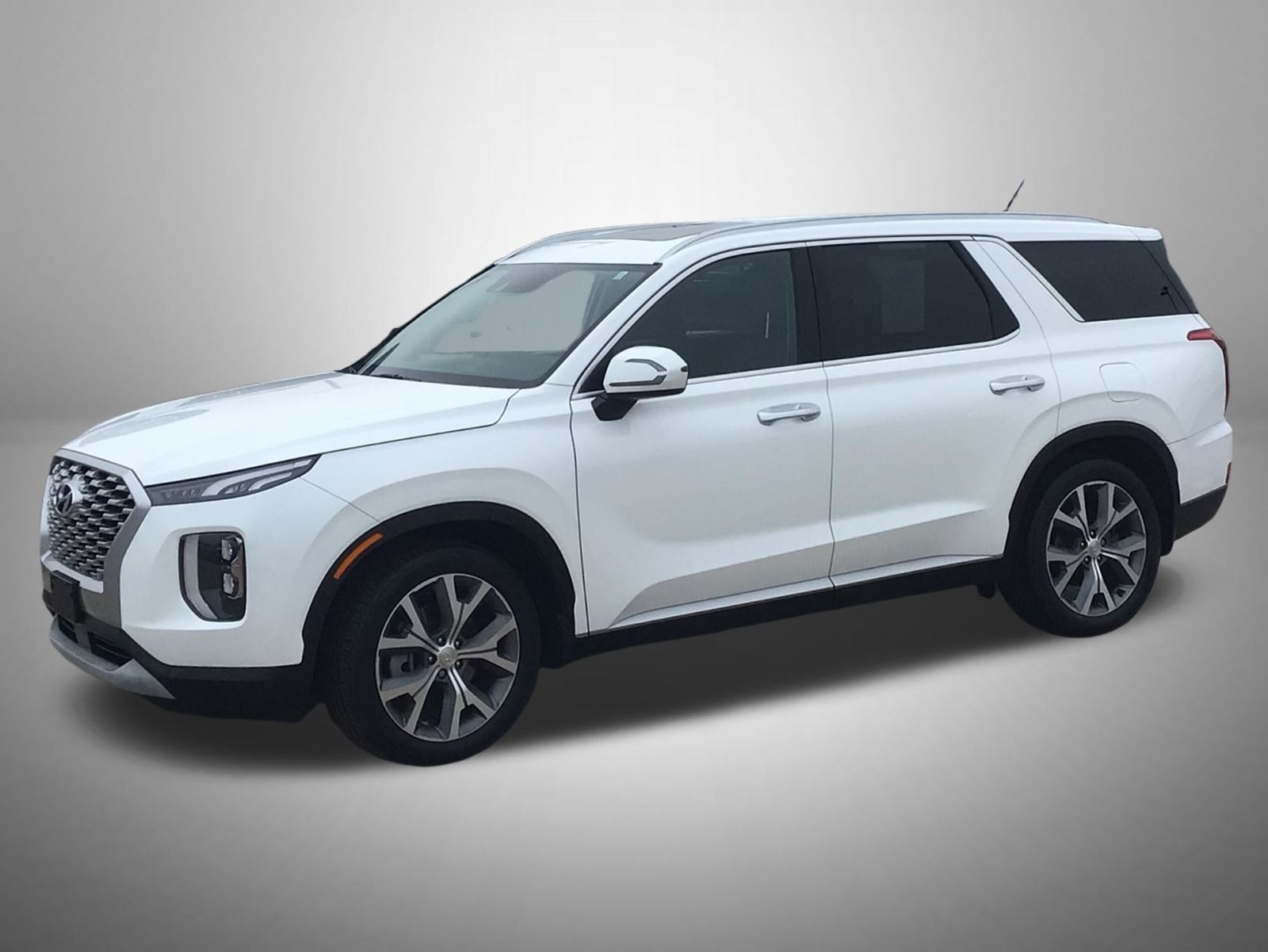 2022 Hyundai Palisade SEL's photo