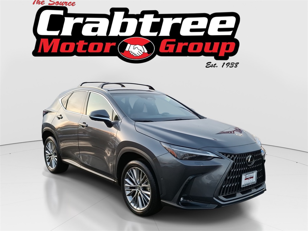 2024 Lexus NX Hybrid 350h's photo