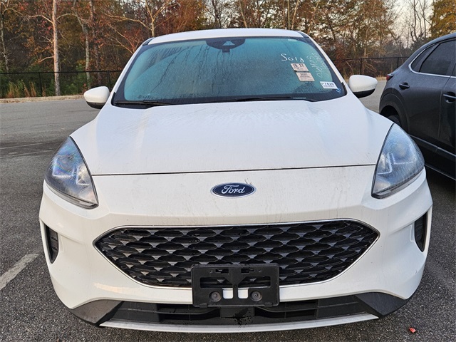 2020 Ford Escape SE photo 2