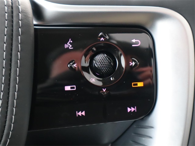 2025 Infiniti QX80 Sensory photo 30