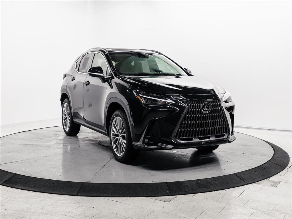 2026 Lexus NX Base's photo
