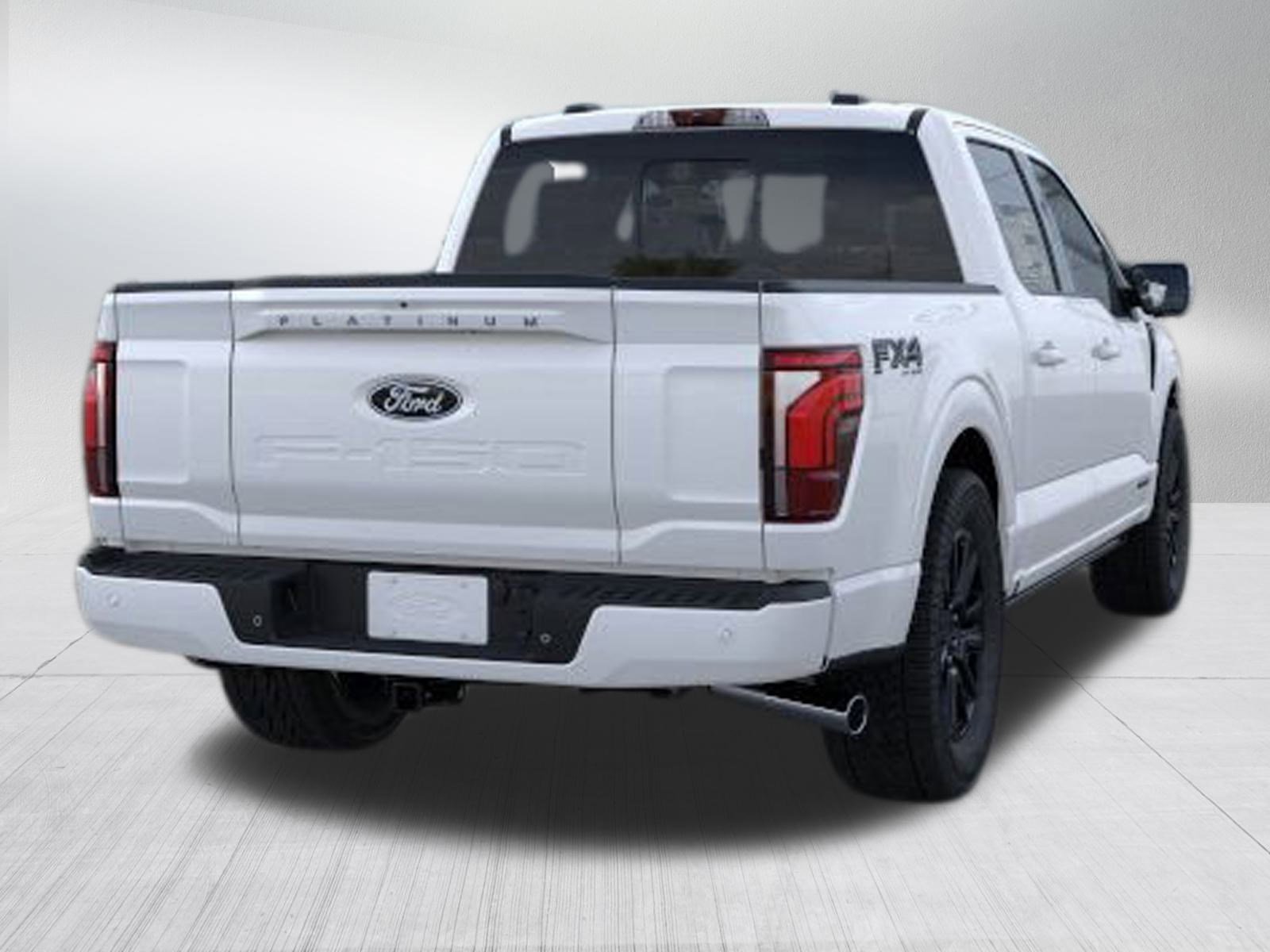 2025 Ford F-150 Platinum photo 8
