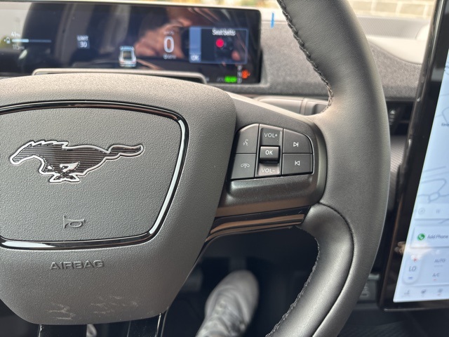 2025 Ford Mustang Mach-E Premium photo 16