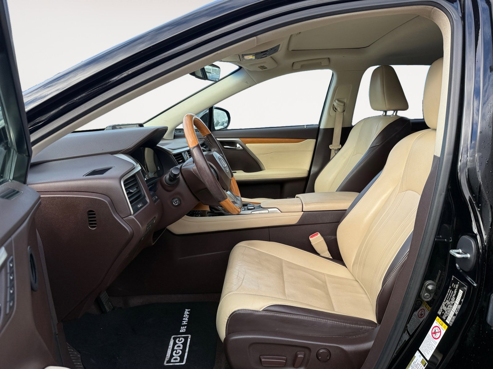 2016 Lexus RX 450h photo 10