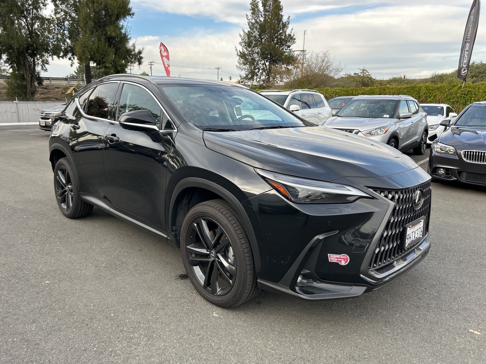 2024 Lexus NX 450h+ Luxury photo 2