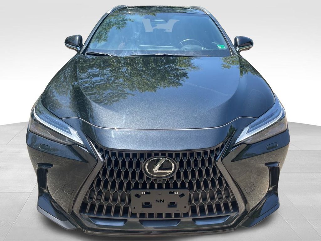 2024 Lexus NX 450h+ Luxury photo 11