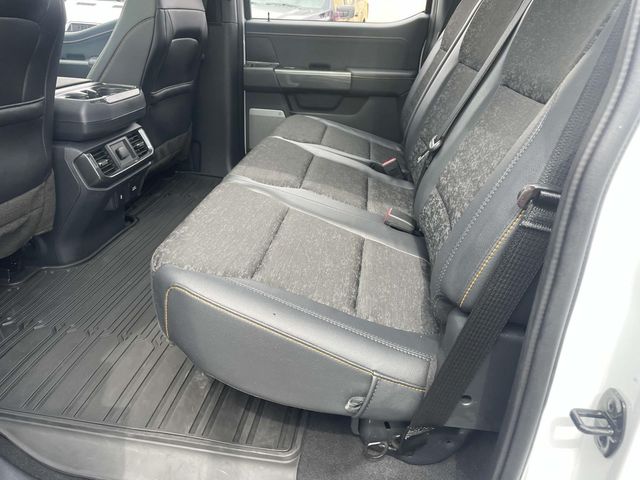 2023 Ford F-150 Tremor photo 15