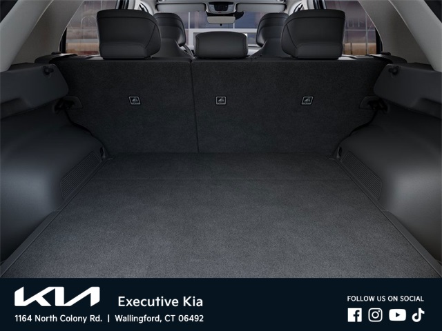 2025 Kia Niro EV Wind photo 16