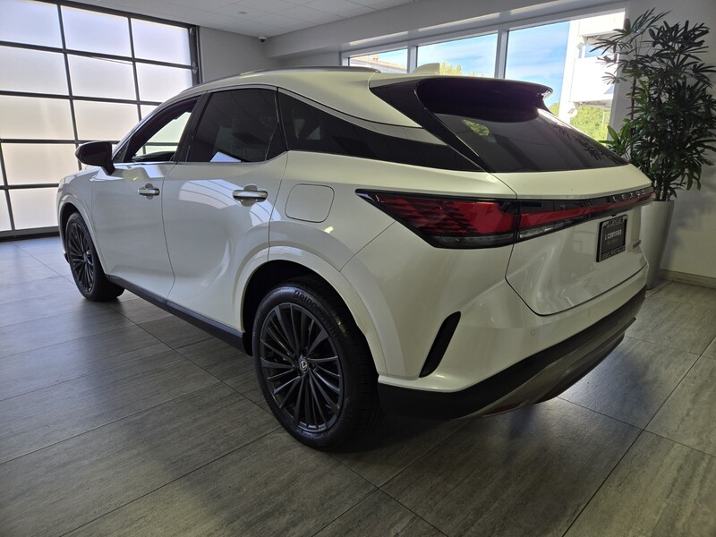 2024 Lexus RX 350 photo 3