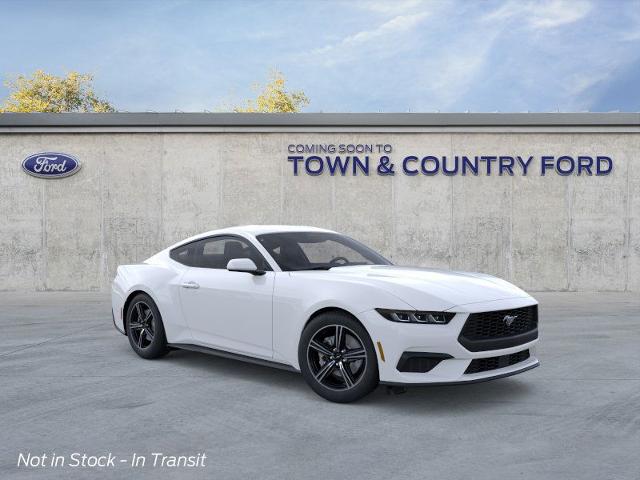 2025 Ford Mustang EcoBoost photo 16