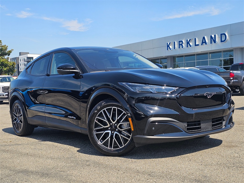 2025 Ford Mustang Mach-E Premium AWD's photo