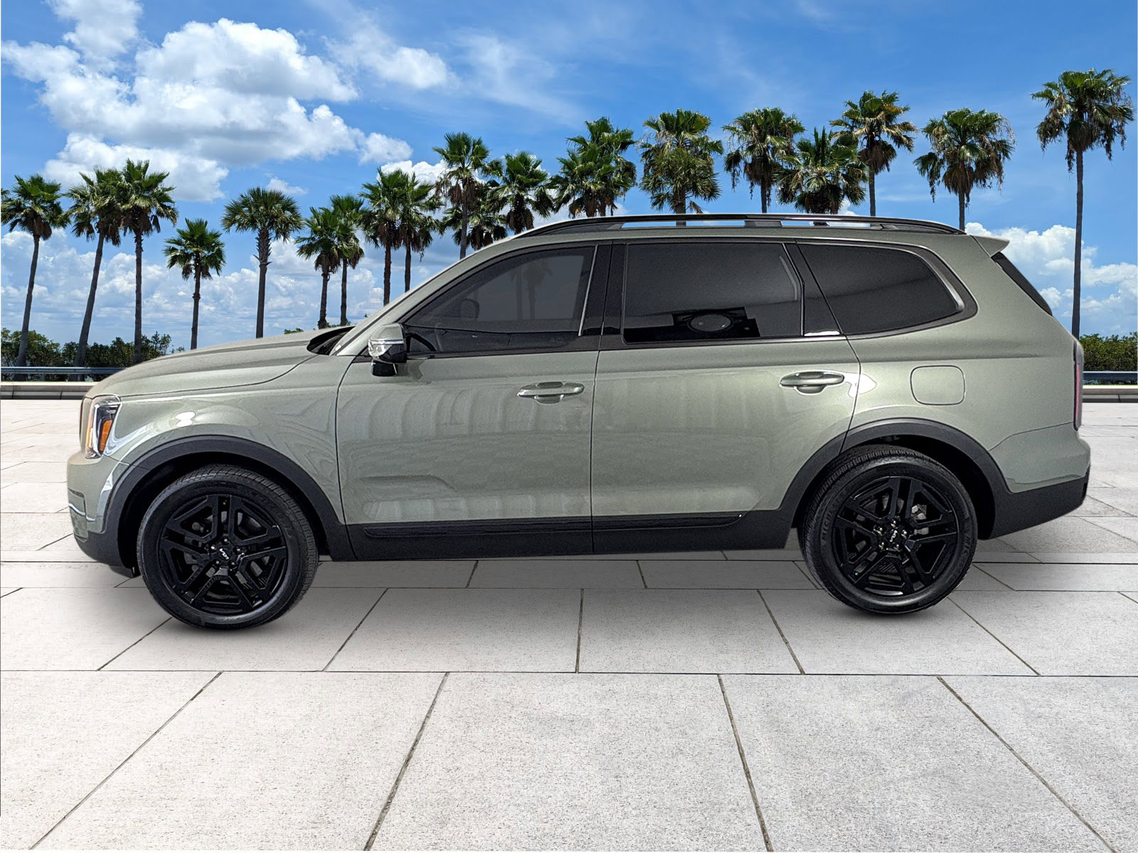 2024 Kia Telluride SX Prestige X-Line photo 6