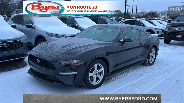 2023 Ford Mustang EcoBoost's photo