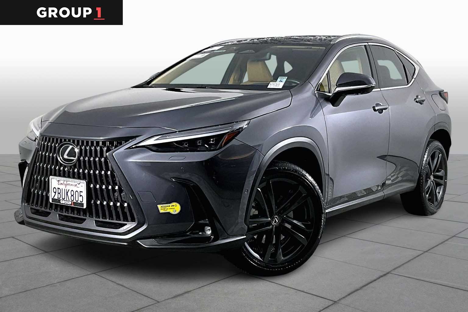 2022 Lexus NX PHEV 450h+'s photo