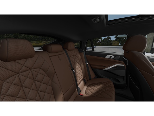 2026 Bmw X6 xDrive40i photo 10