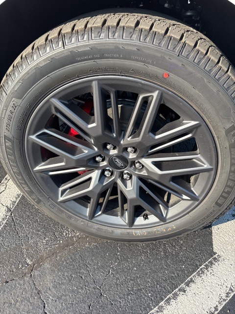 2025 Ford Expedition Platinum photo 8