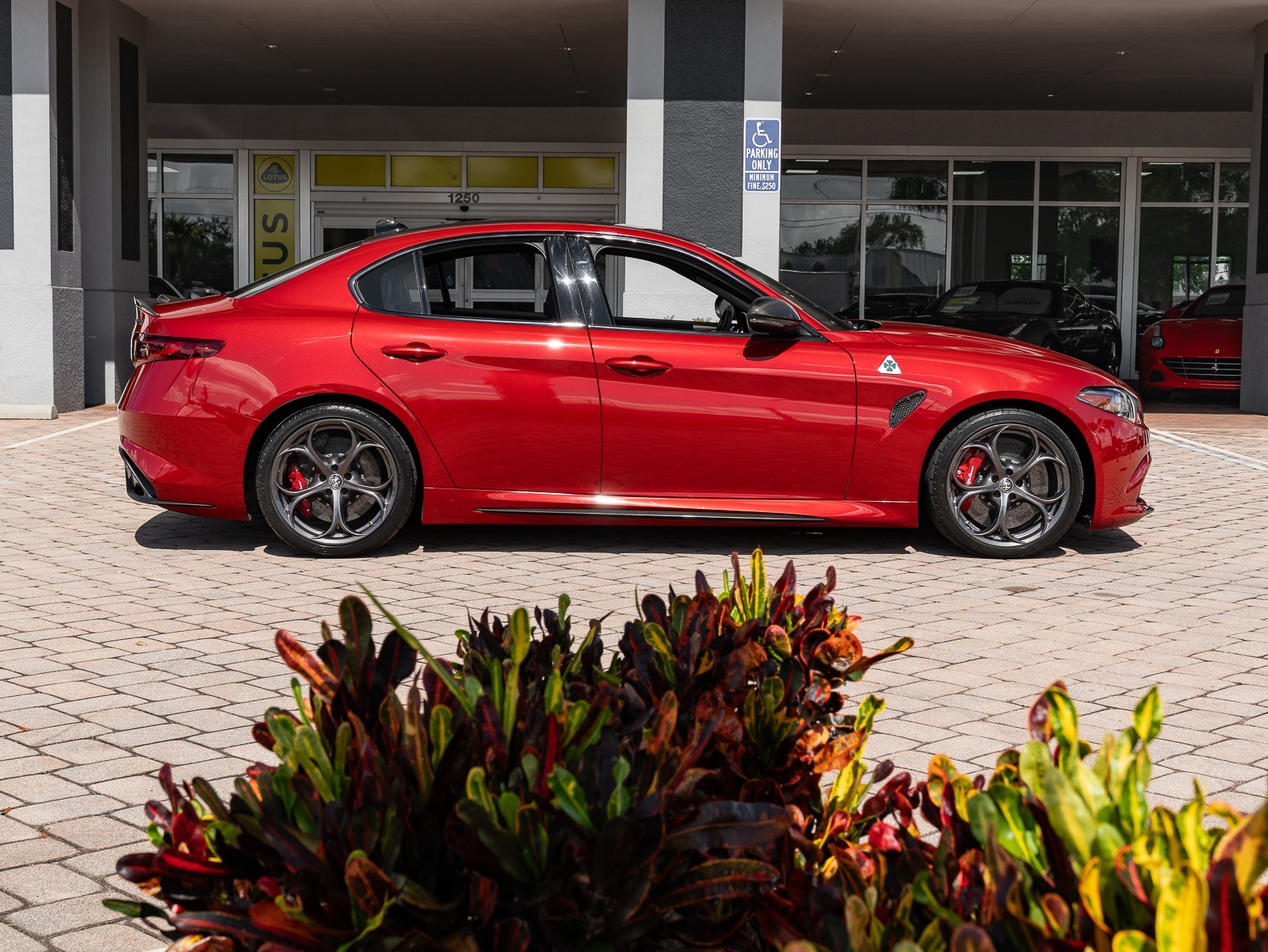 2020 Alfa Romeo Giulia Quadrifoglio photo 25