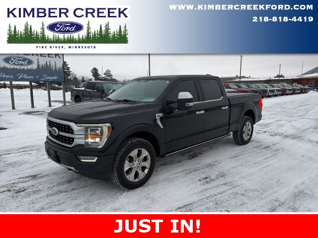 2022 Ford F-150 Platinum's photo