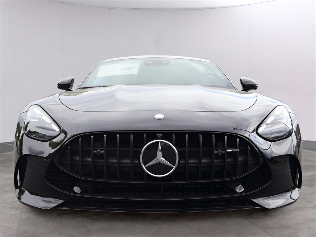 2025 Mercedes Benz AMG GT photo 2