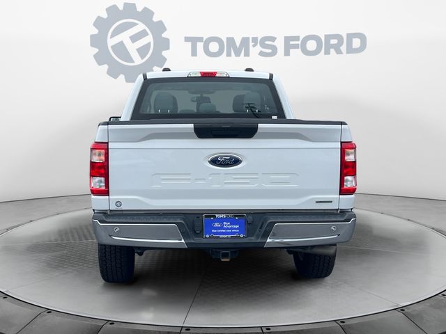 2021 Ford F-150 XL photo 4