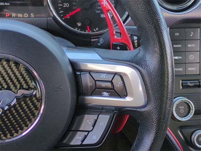2015 Ford Mustang EcoBoost photo 21
