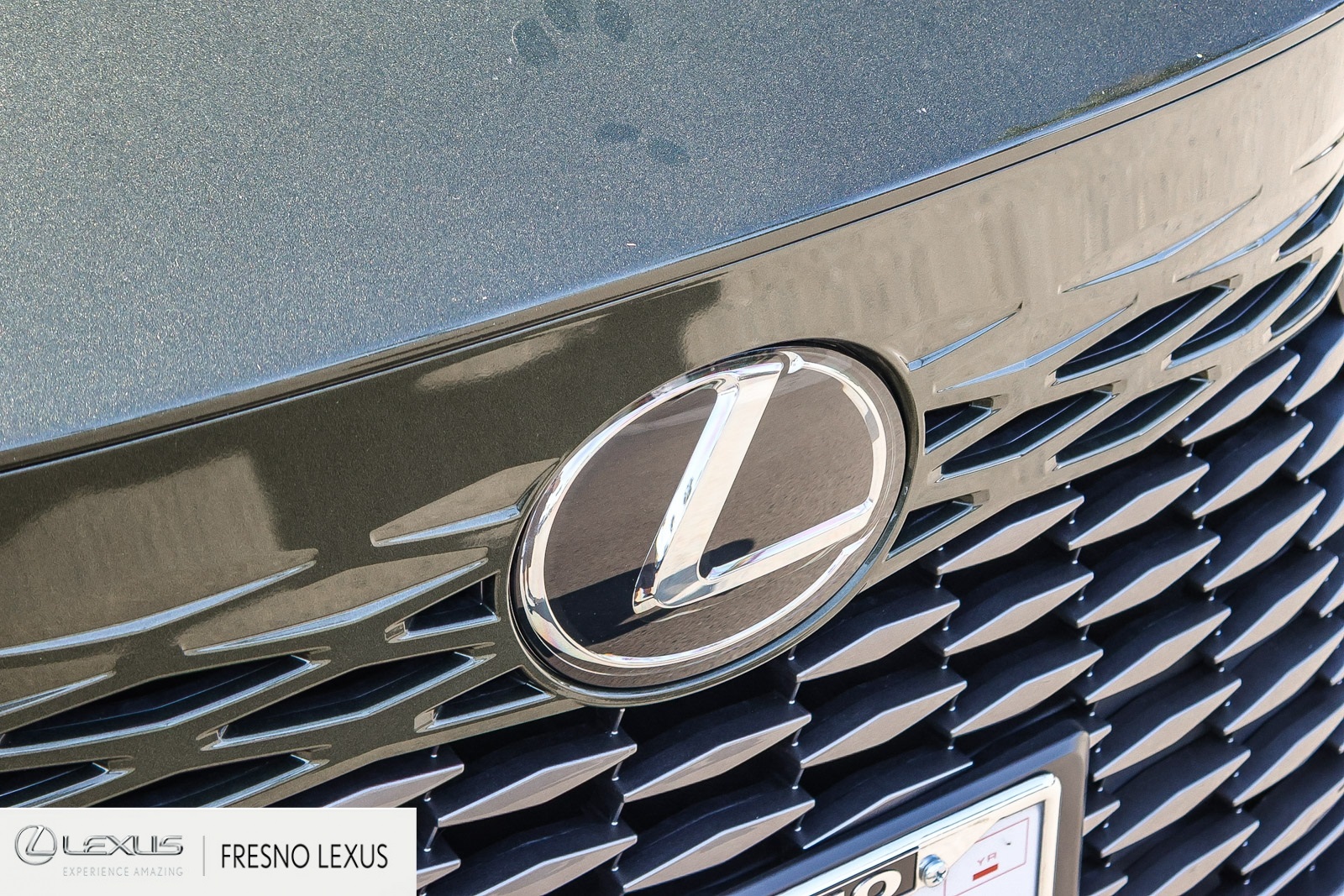 2023 Lexus RX 350 photo 10