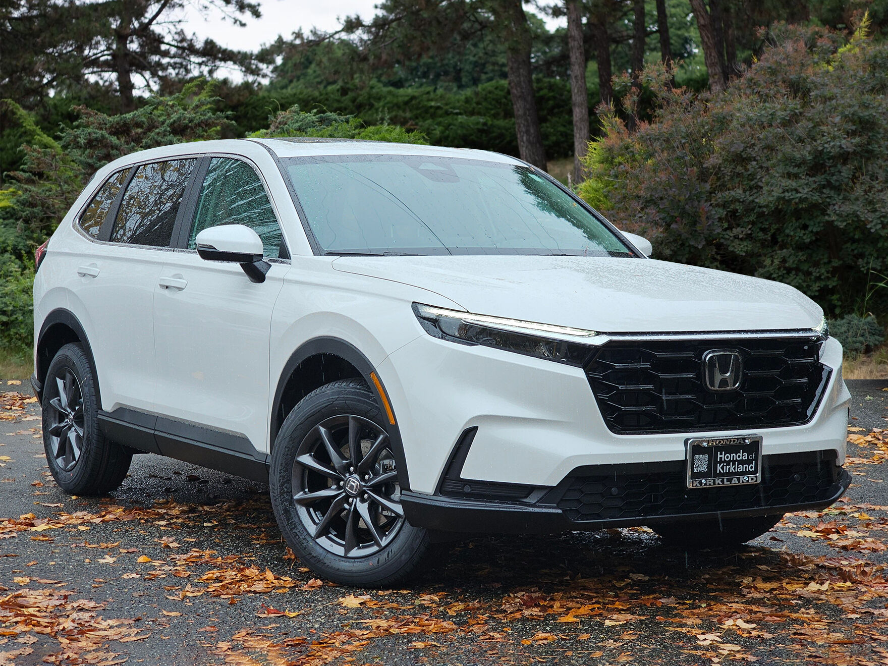 2026 Honda CR-V EX-L's photo