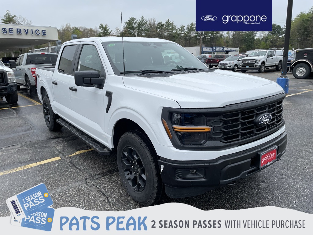 2025 Ford F-150 STX's photo