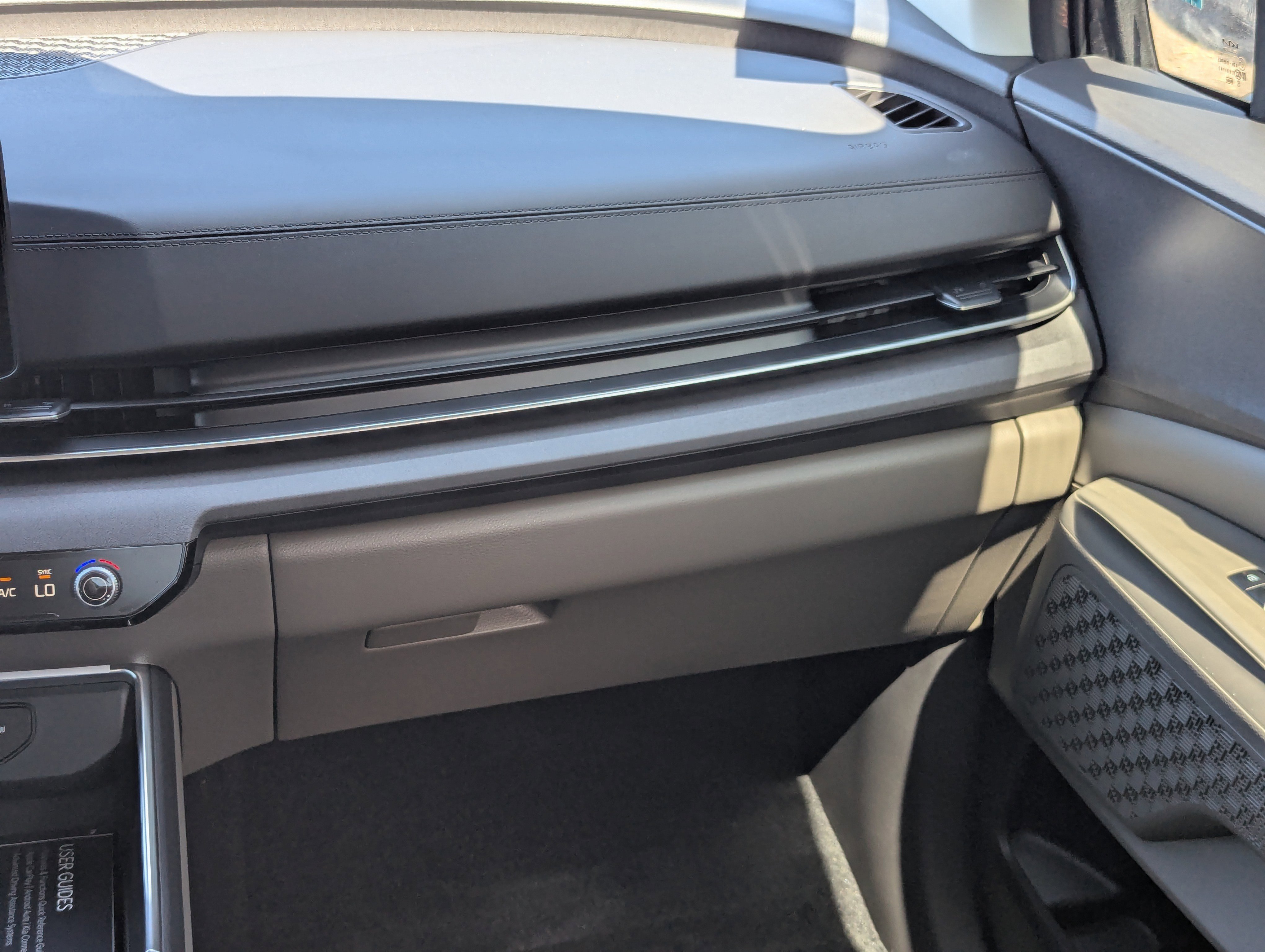 2026 Kia Carnival SX photo 4