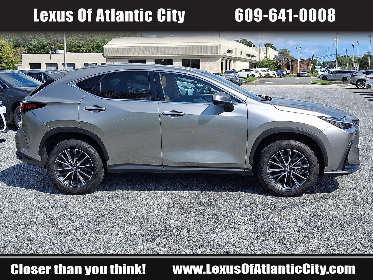 2025 Lexus NX 350h Premium photo 7