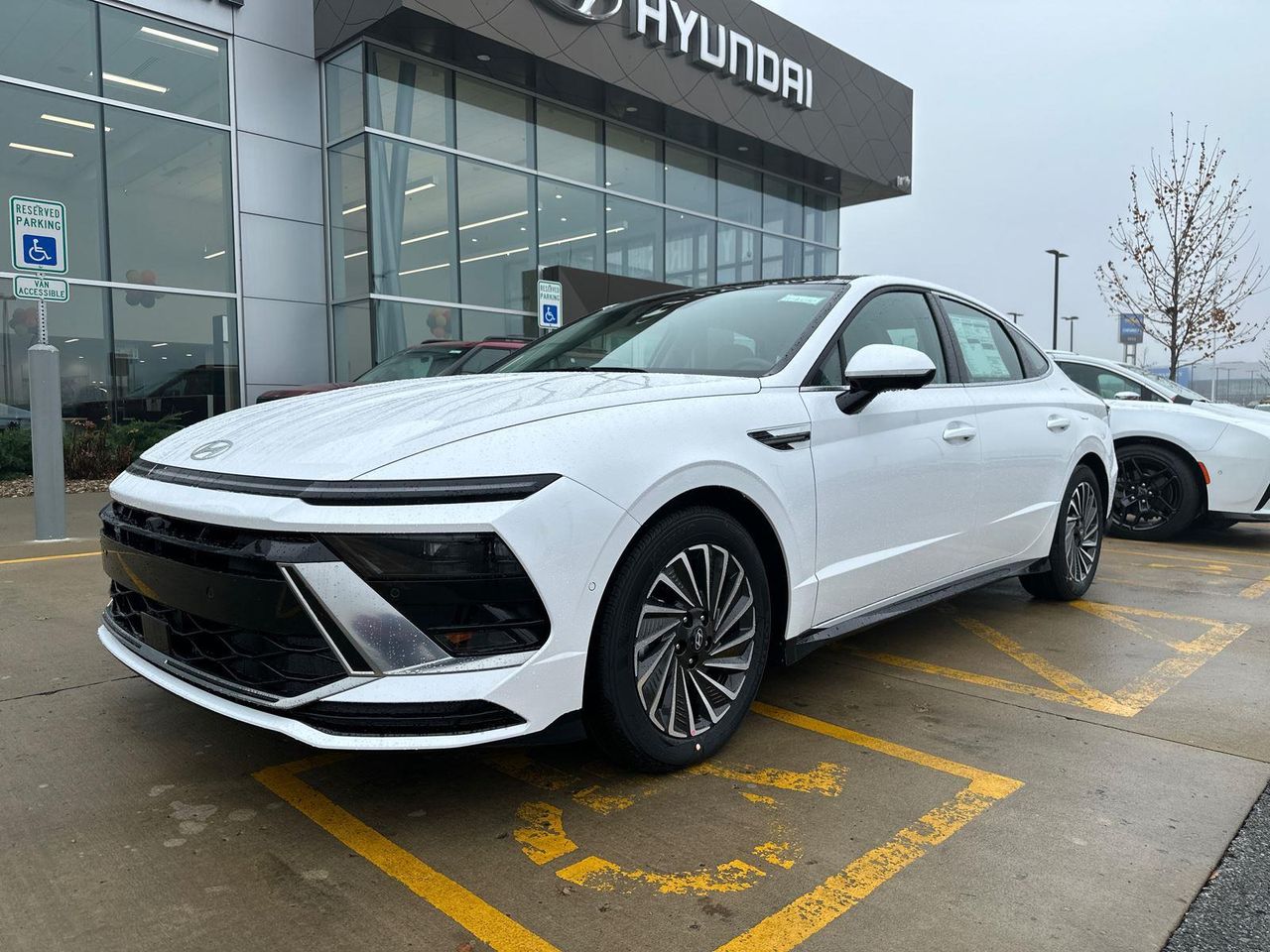 2026 Hyundai Sonata Hybrid Limited's photo