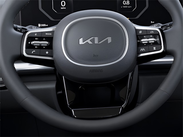 2025 Kia Carnival SX Prestige photo 20